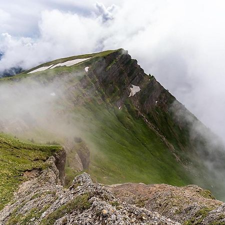 Gruenes Allgaeu Simon Held Opfenbach المظهر الخارجي الصورة